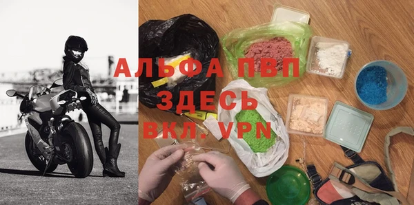 твердый Вяземский